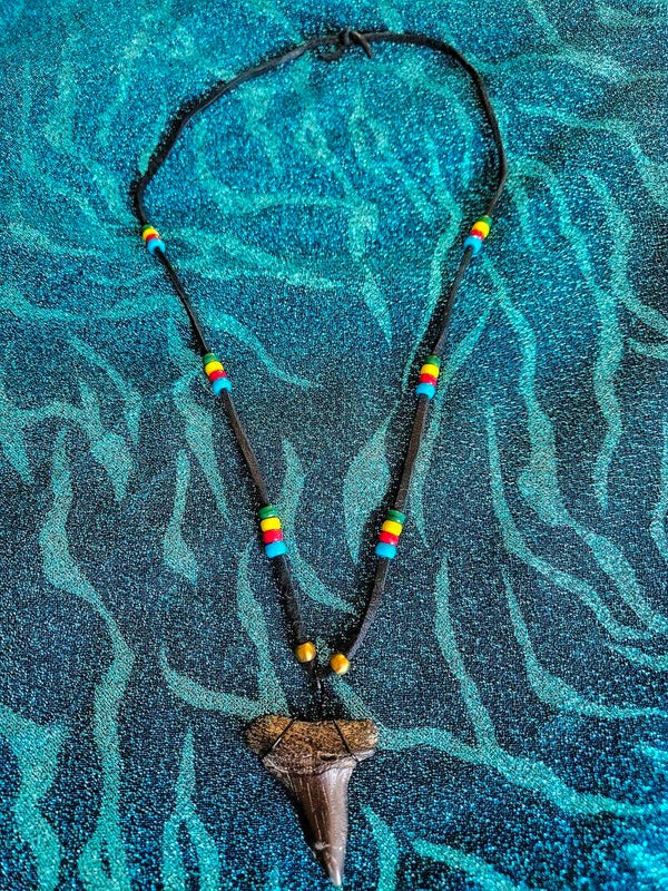 Men's Megalodon Shark Tooth Necklace