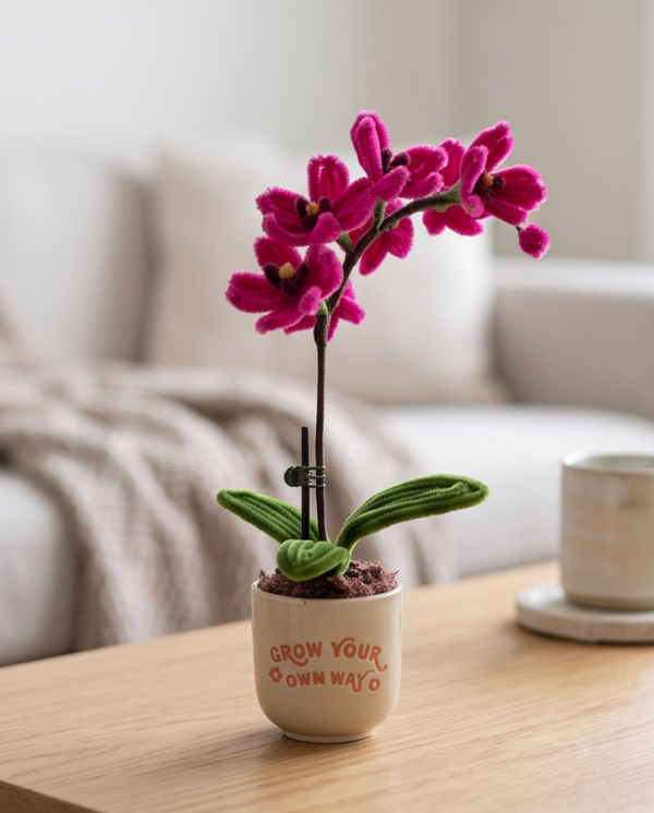 Mini Bright Pink Orchid Plant