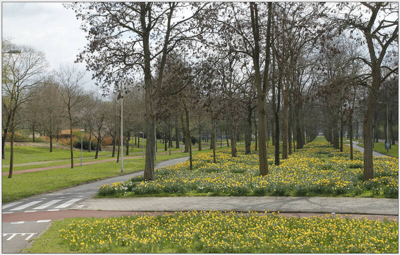 Carnegiedreef, Utrecht Overvecht