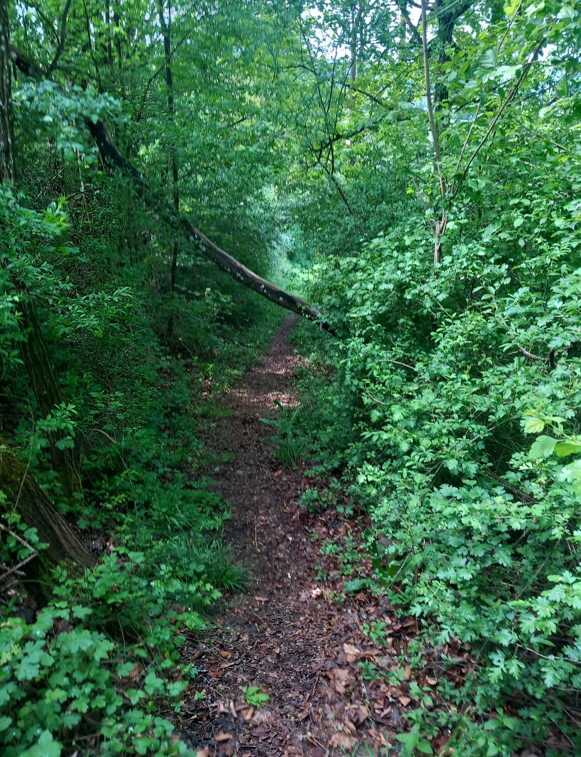 image_20260508_111448_339-standard.jpg
