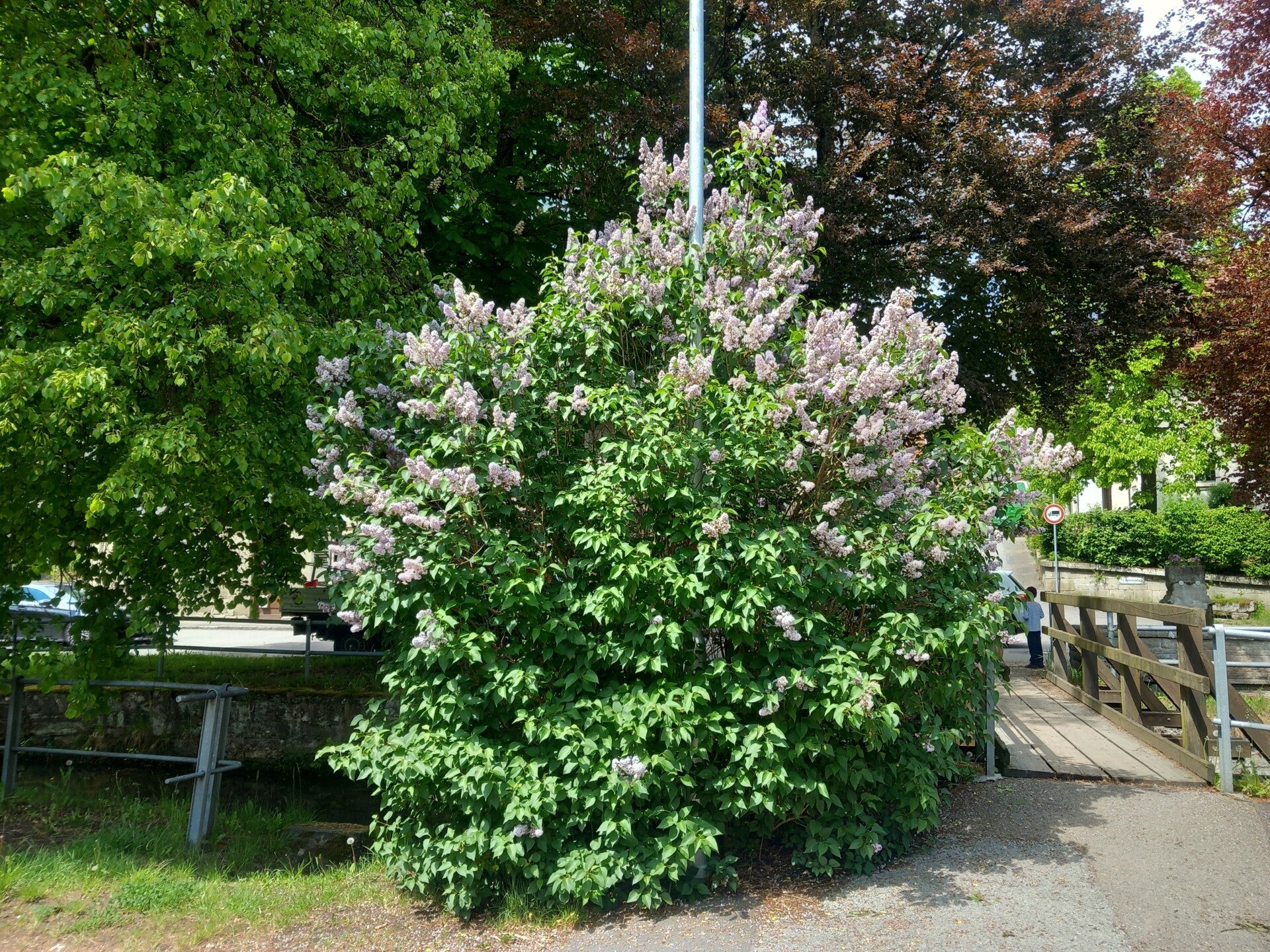 image_20260508_131456_812-standard.jpg