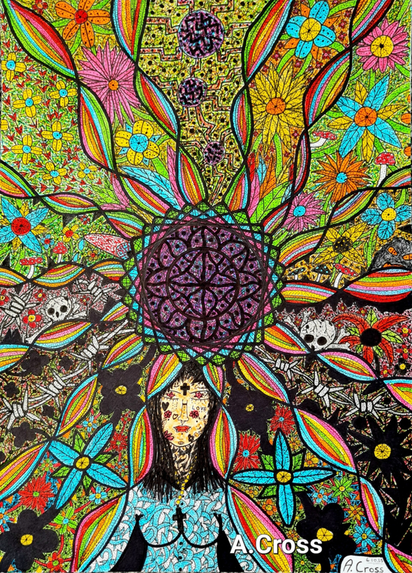 From Gloom to Bloom
