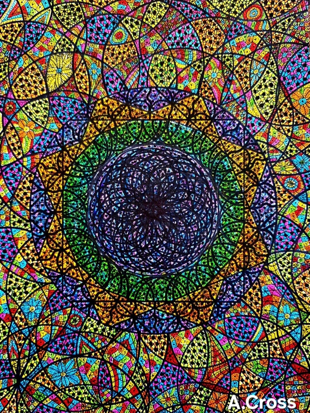 Web Of Dimensions