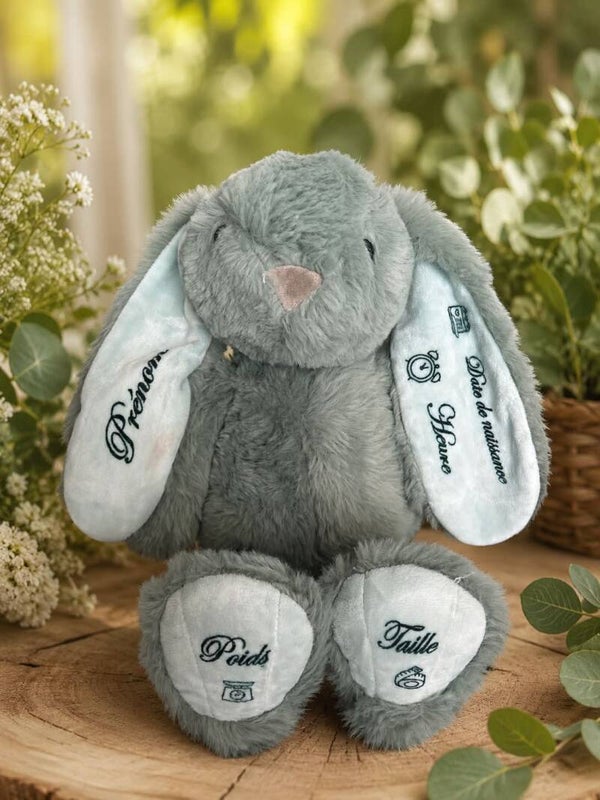 Lapin de naissance