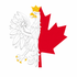 The Eagle and Maple Observed