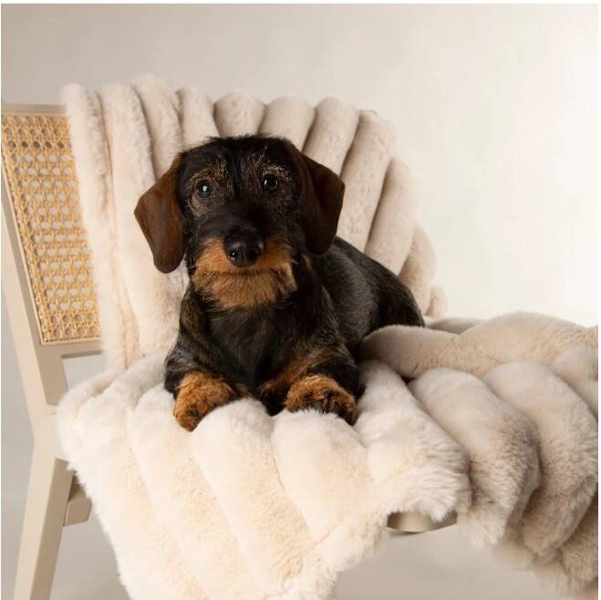 Scruffs Hondendeken Aspen creme 110x75 cm