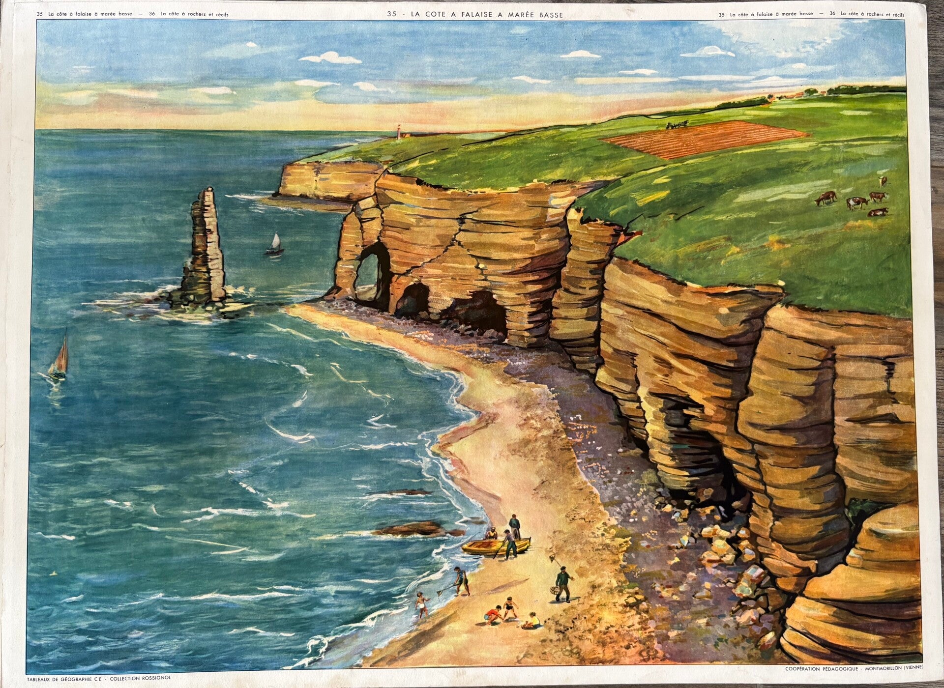 Affiche géographique pédagogique Rossignol
