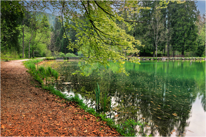 maggio 2025 - Lago Welsperg