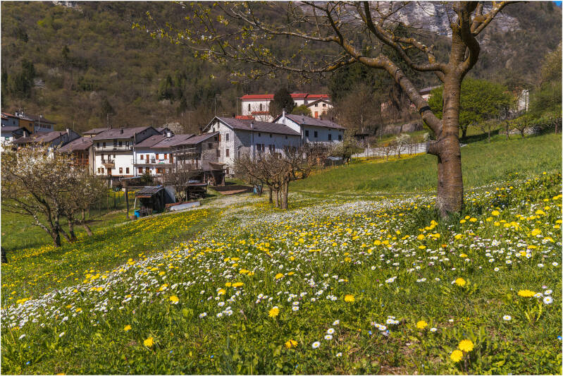 2026-04-04 lungolago del Corlo - non solo acqua