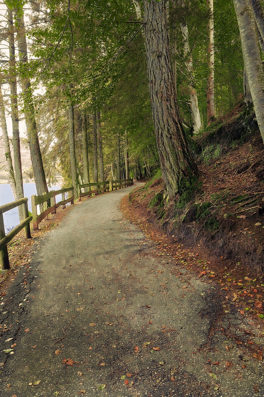 2024-10-12 passeggiata lungo lago delle Piazze