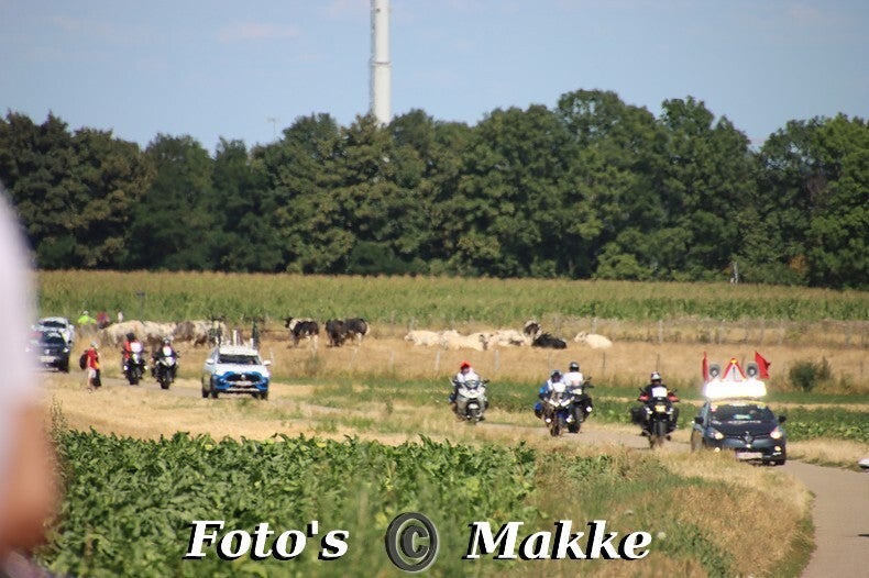 img_0003-bordermaker-standard-tmfjun.jpg