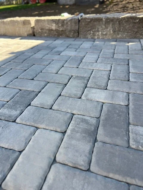 Homepage	Excavation team preparing paver base in Ontario backyard Skip Basework Blog	DIY patio with sunken pavers due to improper base Save Money Blog	Homeowner installing pavers on compacted gravel base Landscape Contractor Costs	Price comparison between