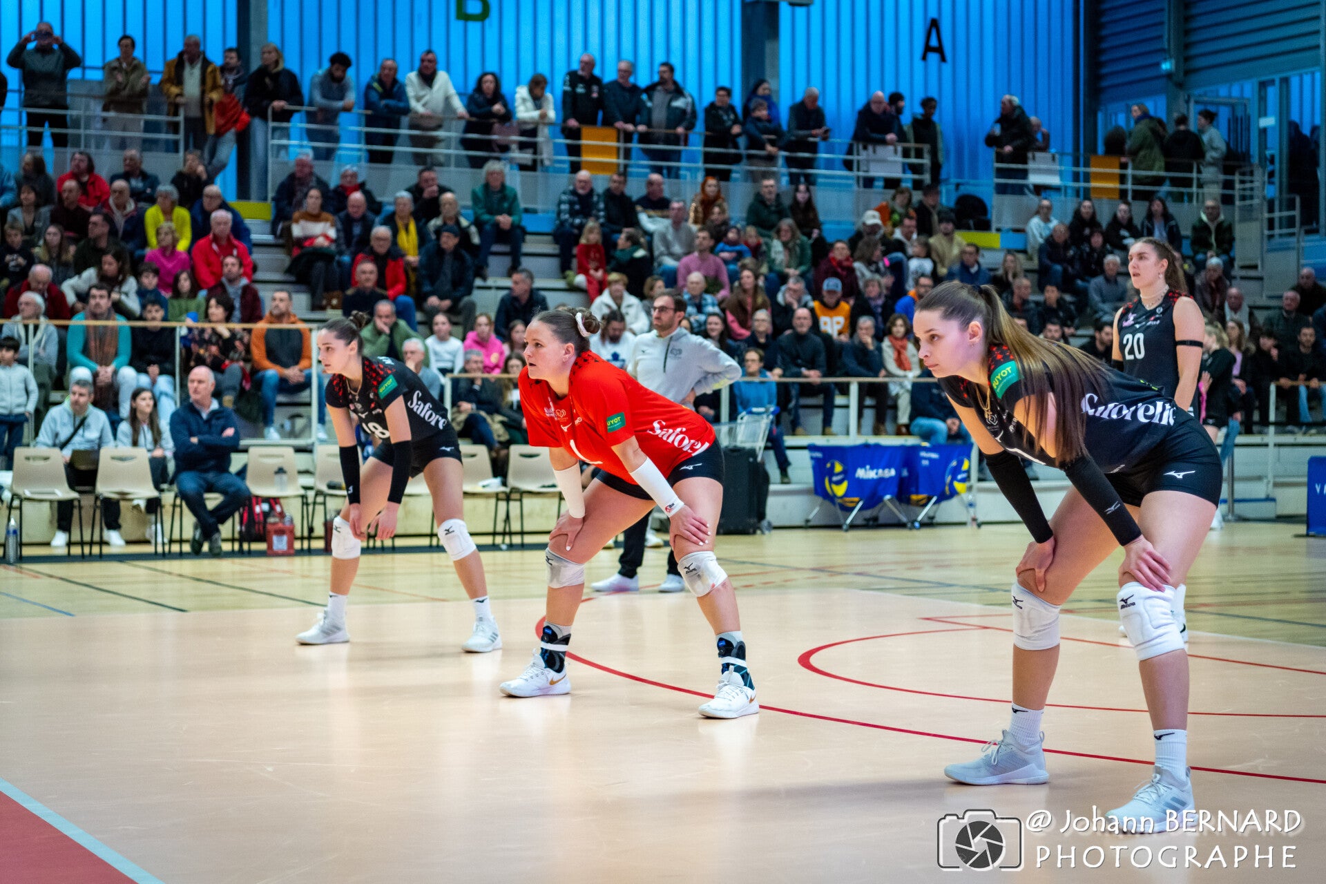 20241229-volley-quimper-cannes-3-1-90-standard.jpg