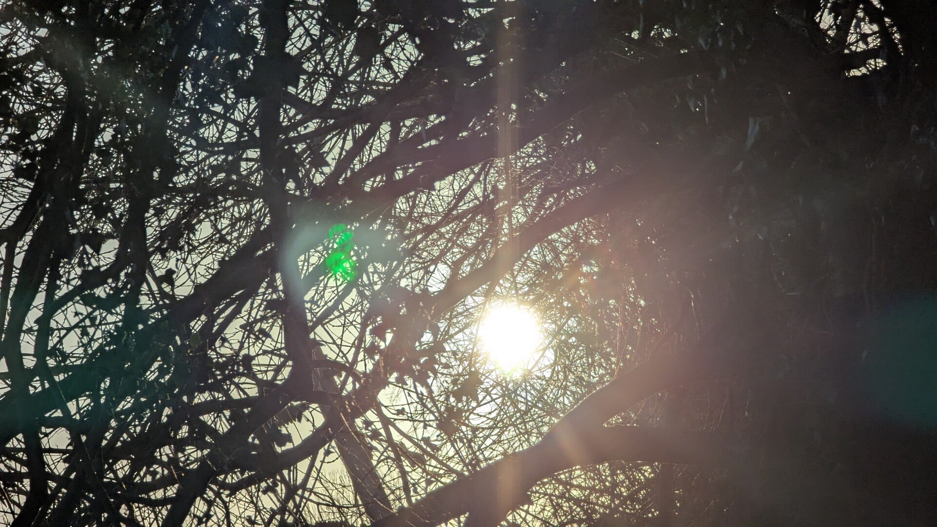 pxl_20251226_143129807-standard.jpg