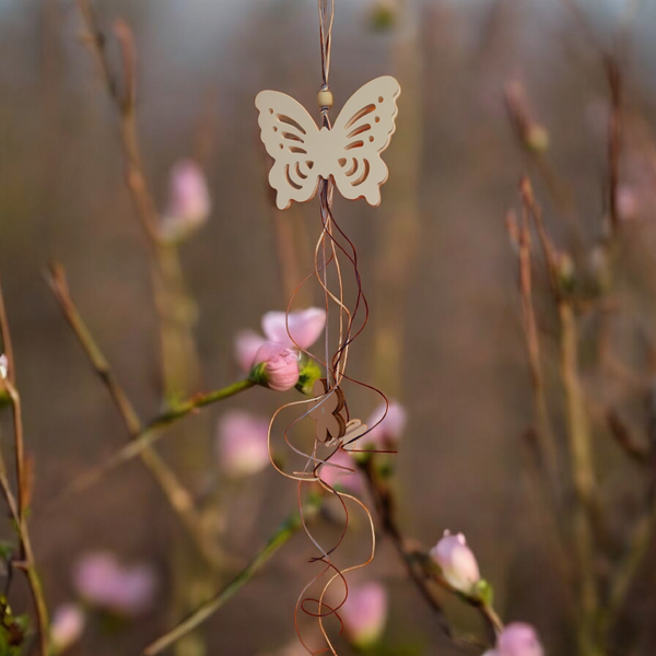 Süßer filigraner Schmetterling