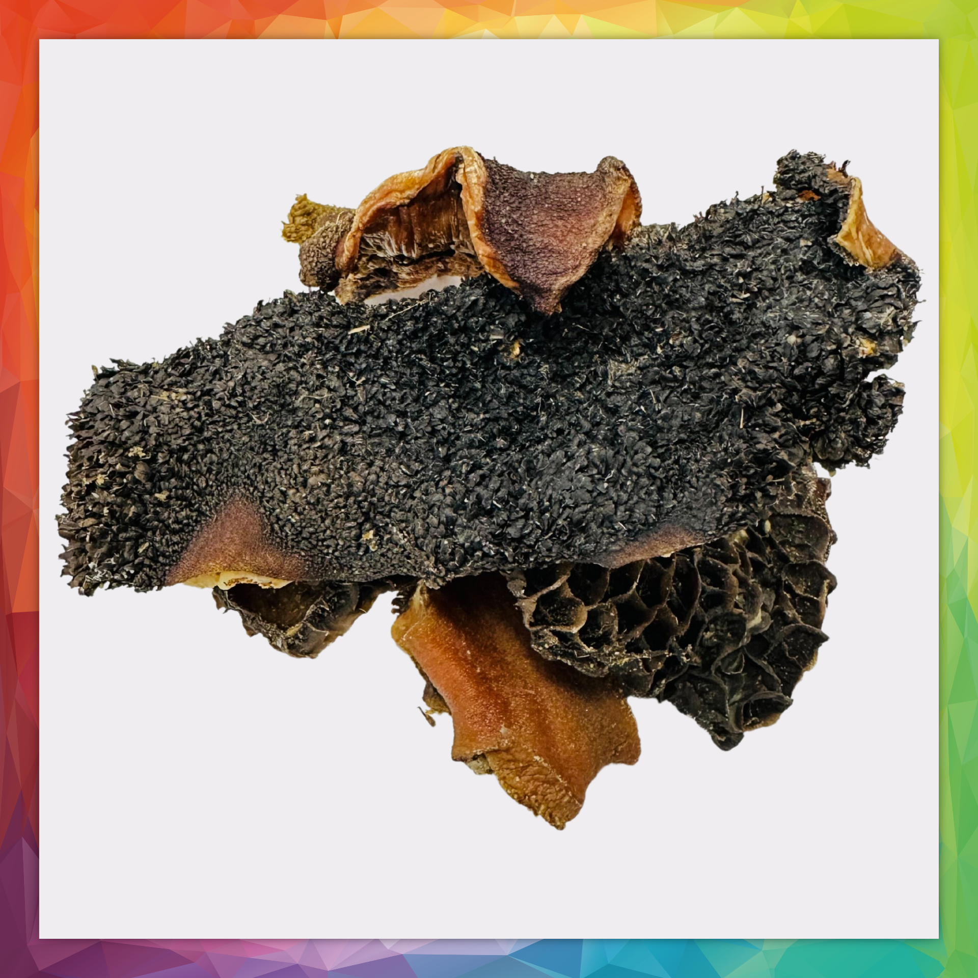 Dried Tripe - British