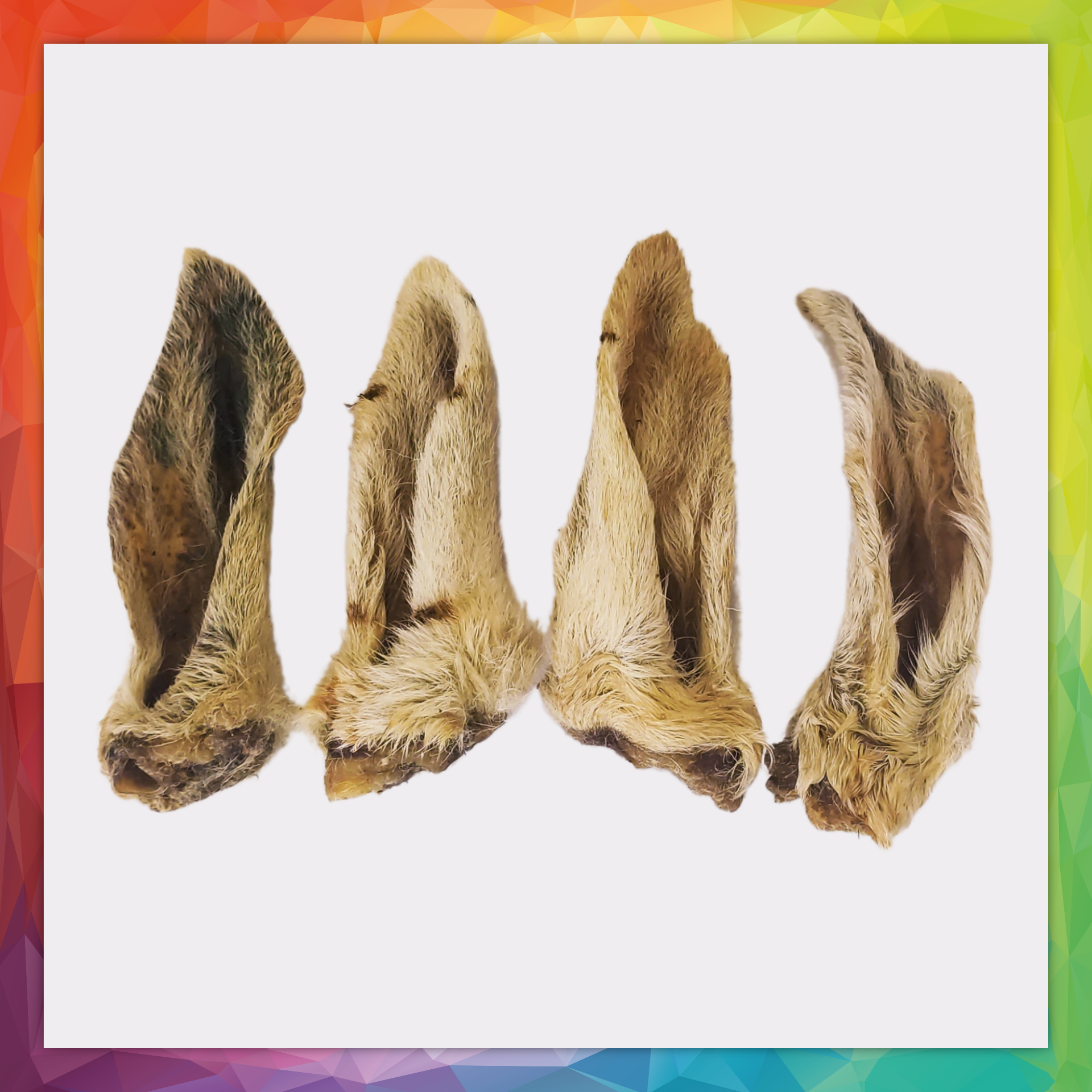 Lambs Ear - with fur/hair