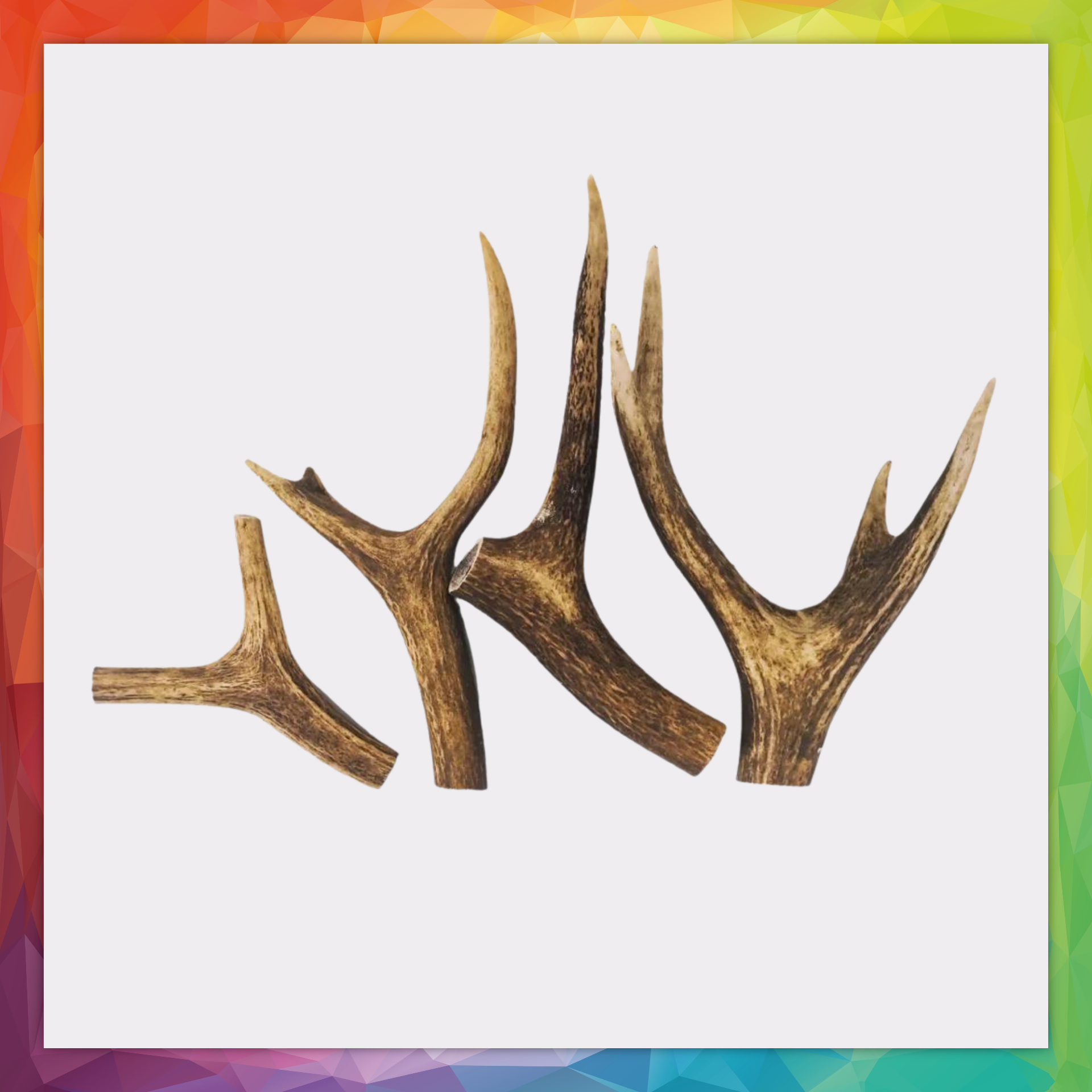 Deer Antler Chew