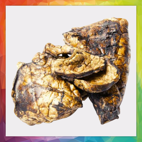 UK Puffed Jerky "Beef Lung"