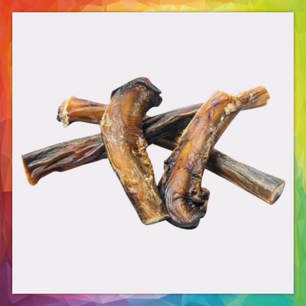 Pizzles "Bully Sticks"