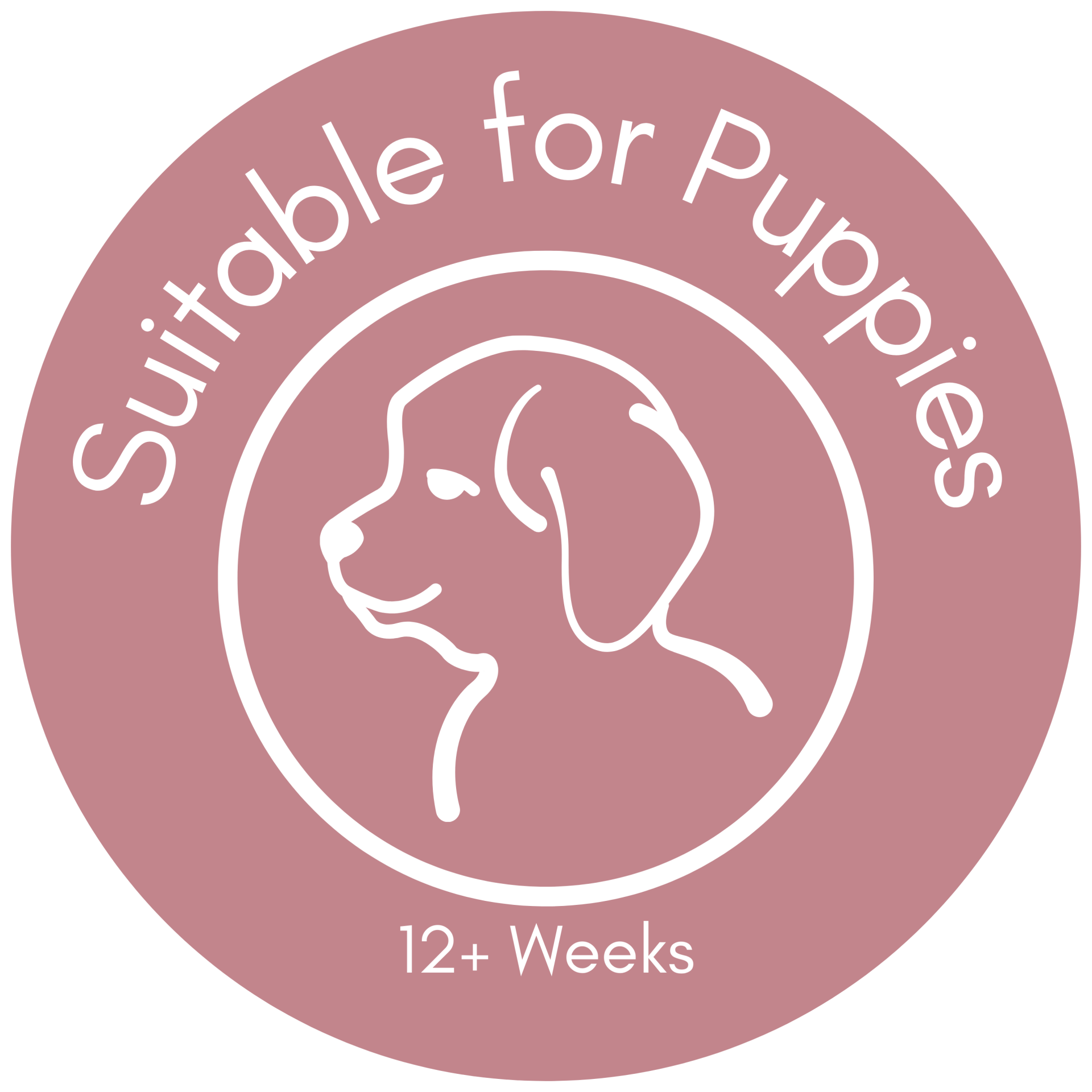 suitable-for-12week-puppies-standard-0mmala.png
