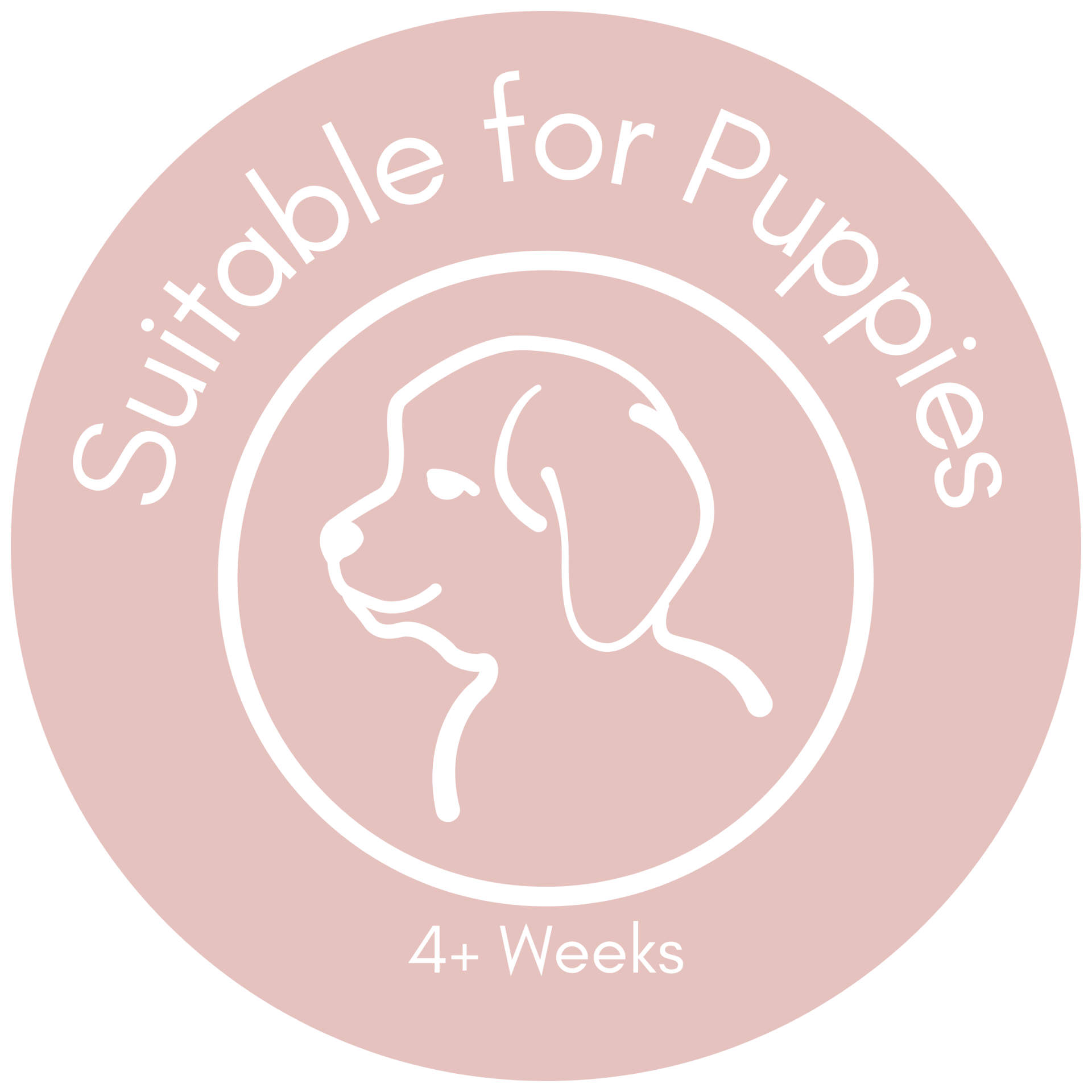 suitable-for-4week-puppies-standard-yj0y71.png