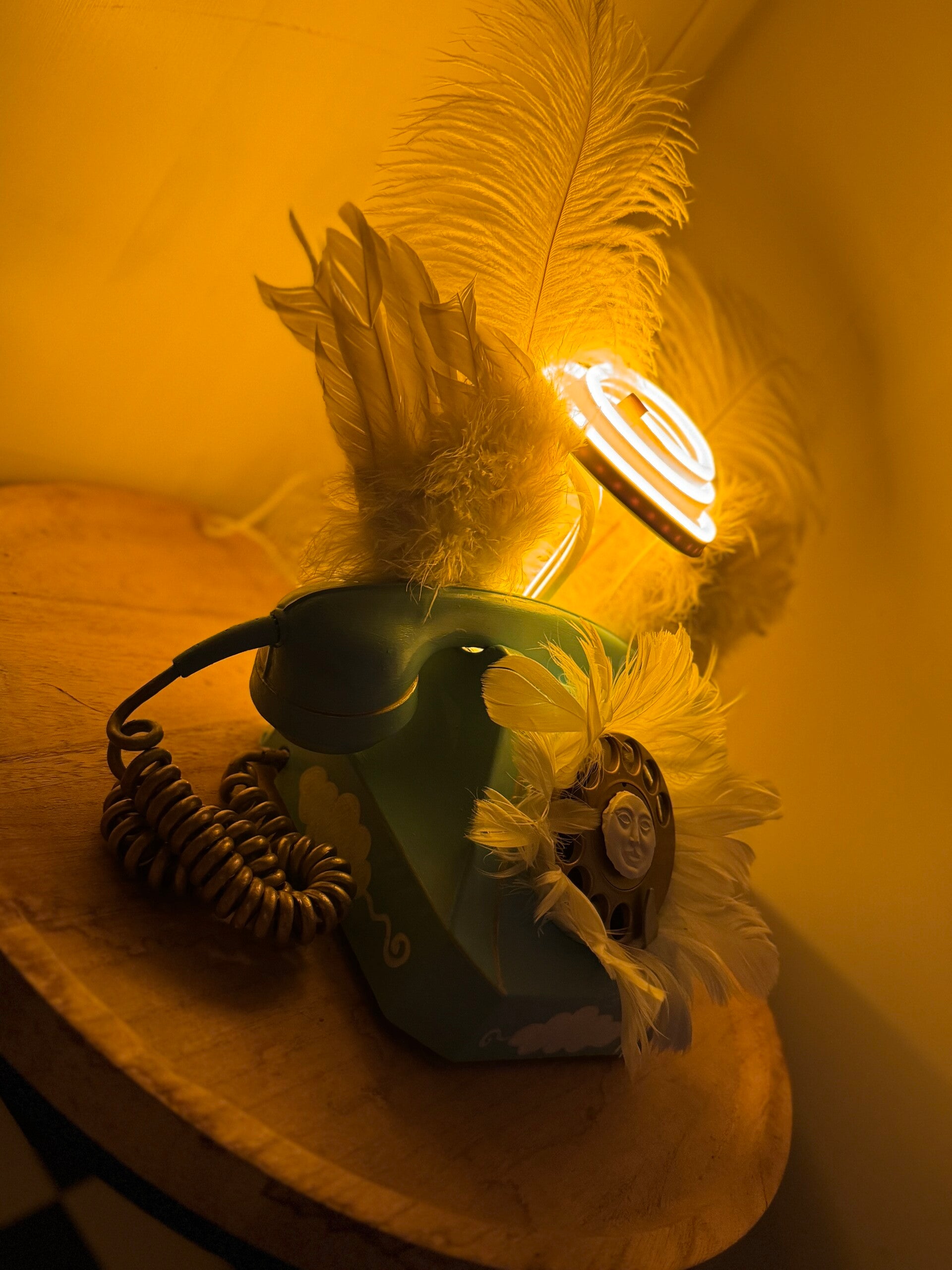 img_1560-standard-qp6xdt.jpg