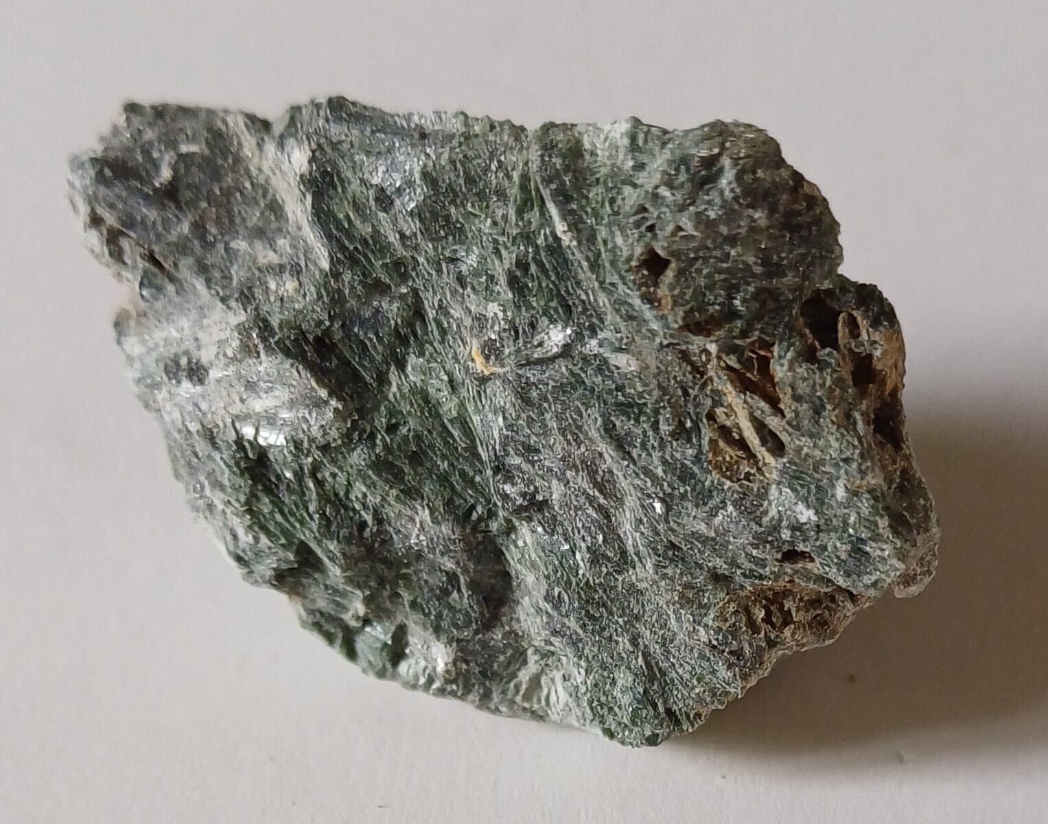 Actinoliet