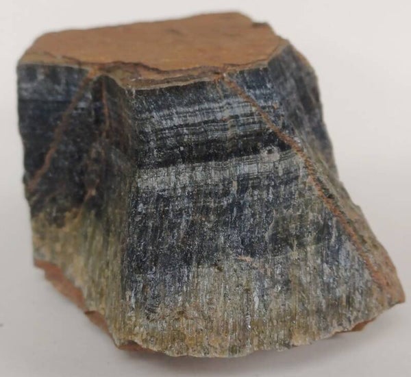 Valkenoog (Blauwe Tijgeroog)