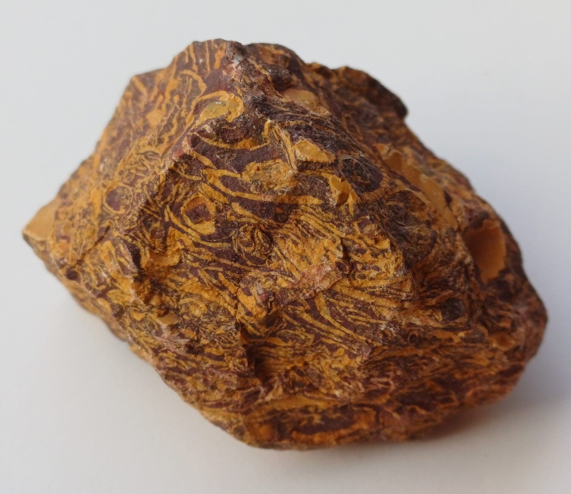 Kalksteen (‘Snake Jasper’ of ‘Snakeskin Jasper/Jaspis’)