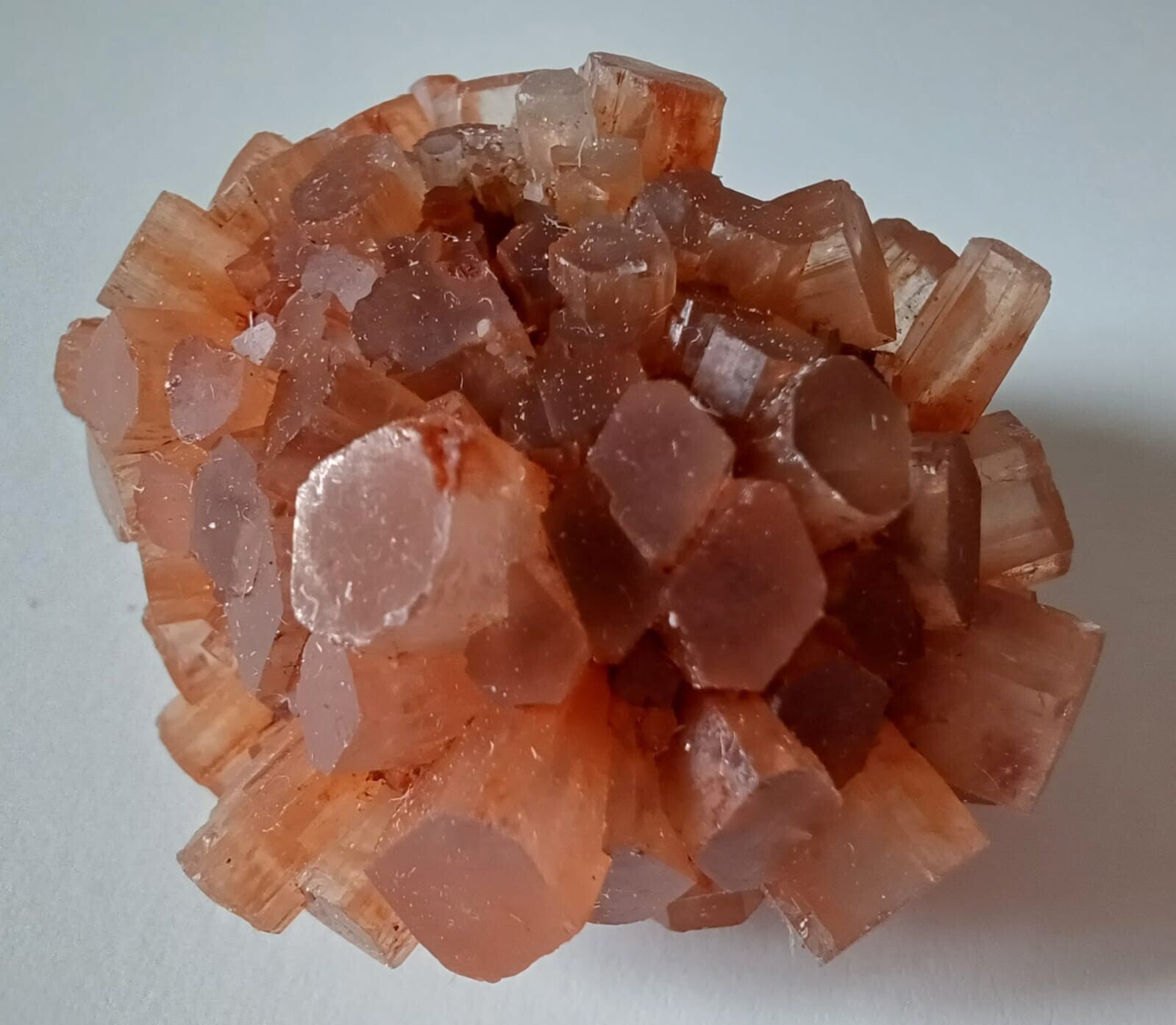 Aragoniet cluster