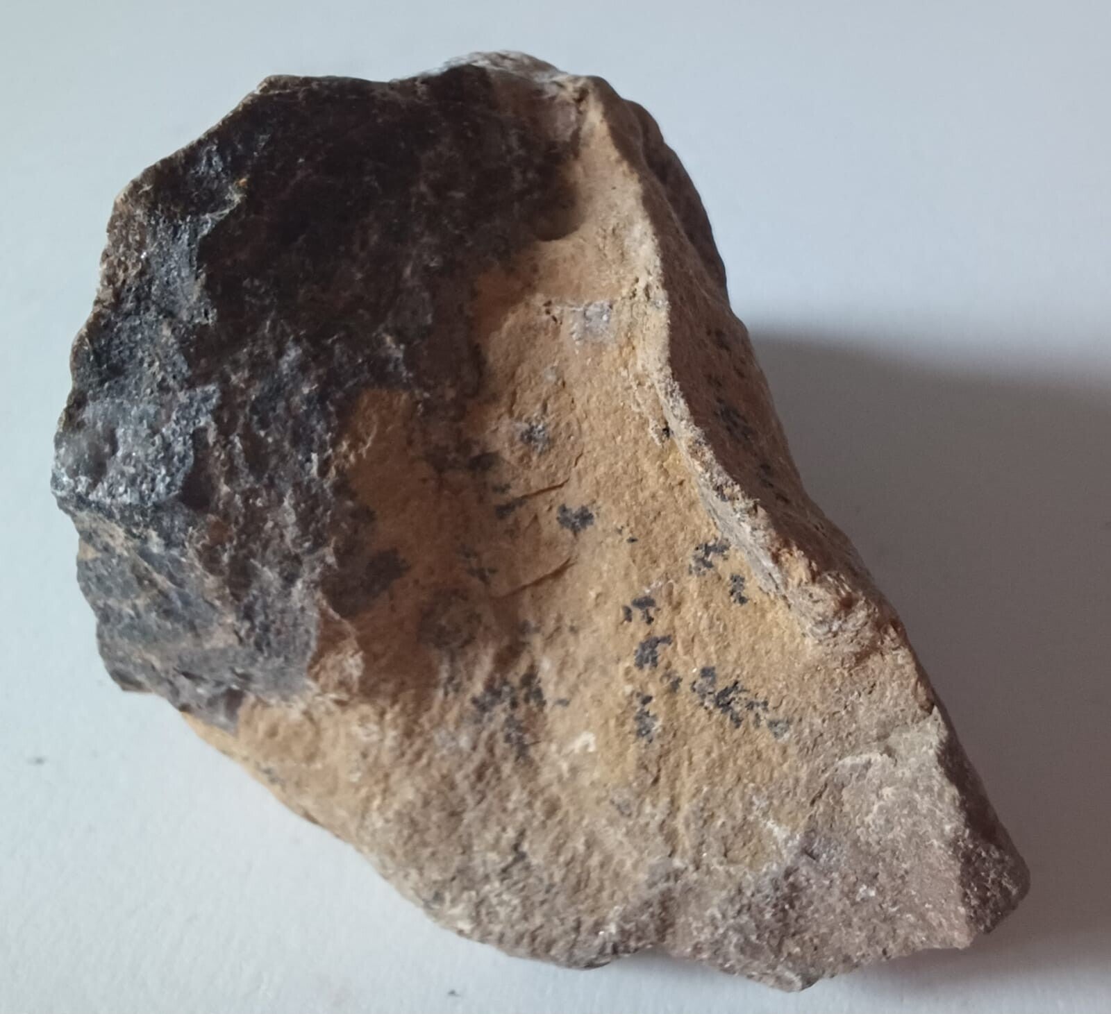 Stromatoliet