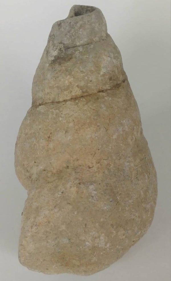 Gastropode (fossiel slakkenhuis)