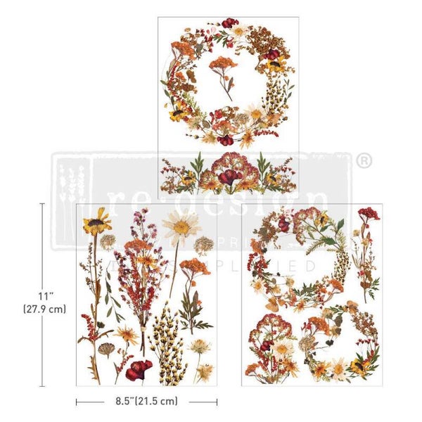 Redesign Decor Transfer M -  Dried Wildflowers