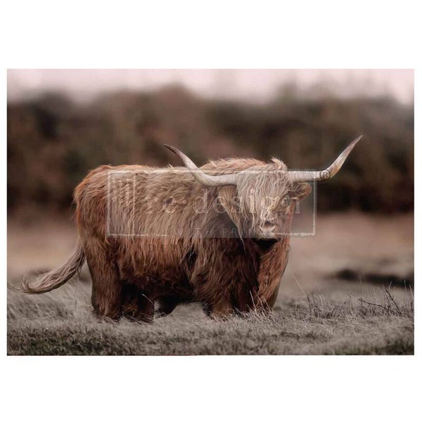 Decoupage papier - Redesign découpage A1 FIBRE - Highland Grace