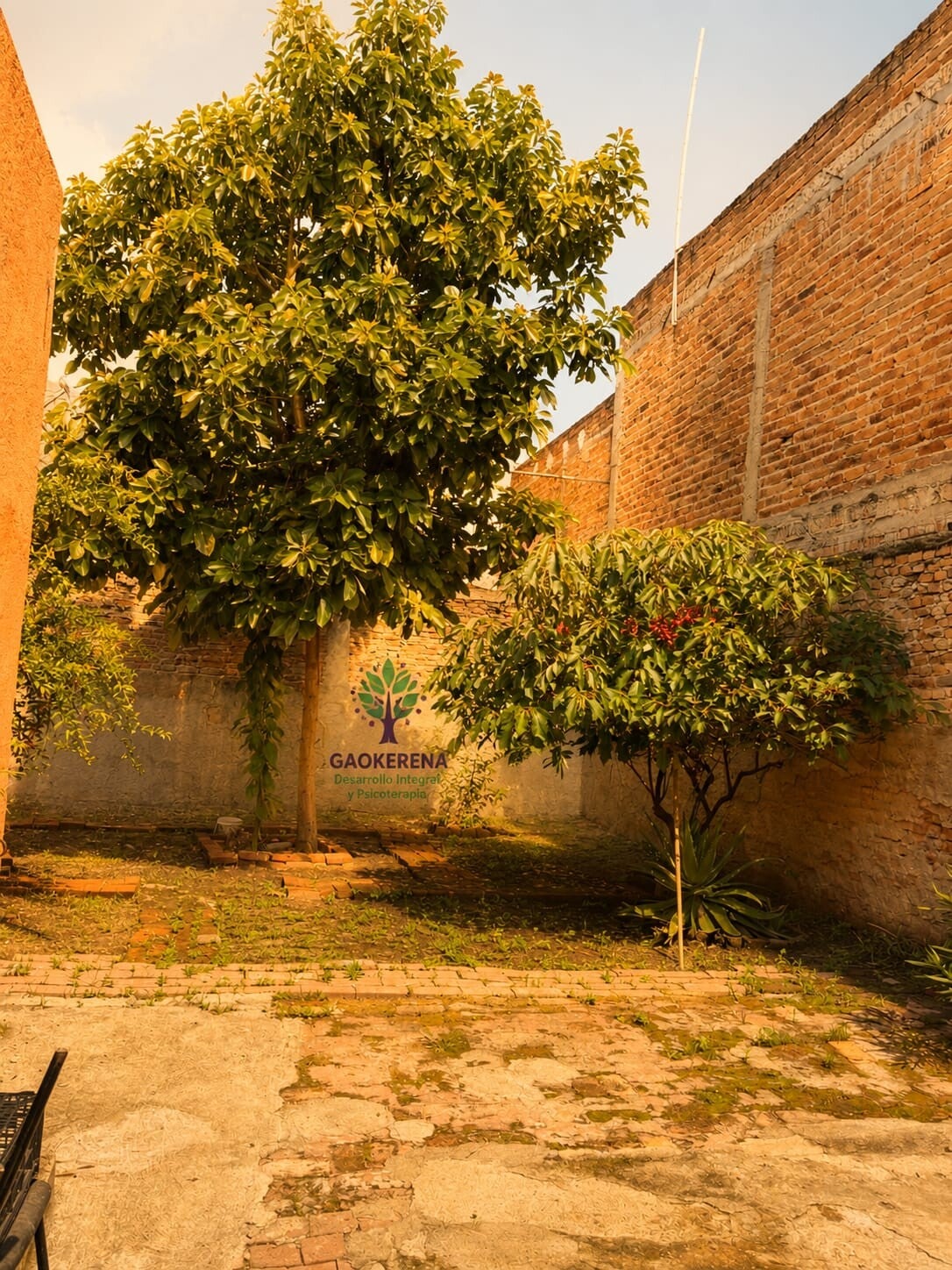 Jardín relajante
