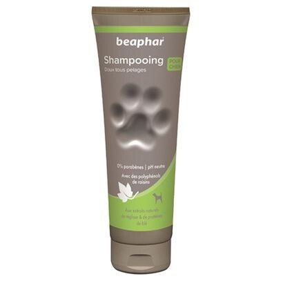 Shampooing tout pelage
