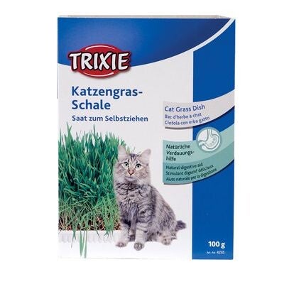 Graines pour herbe à chats