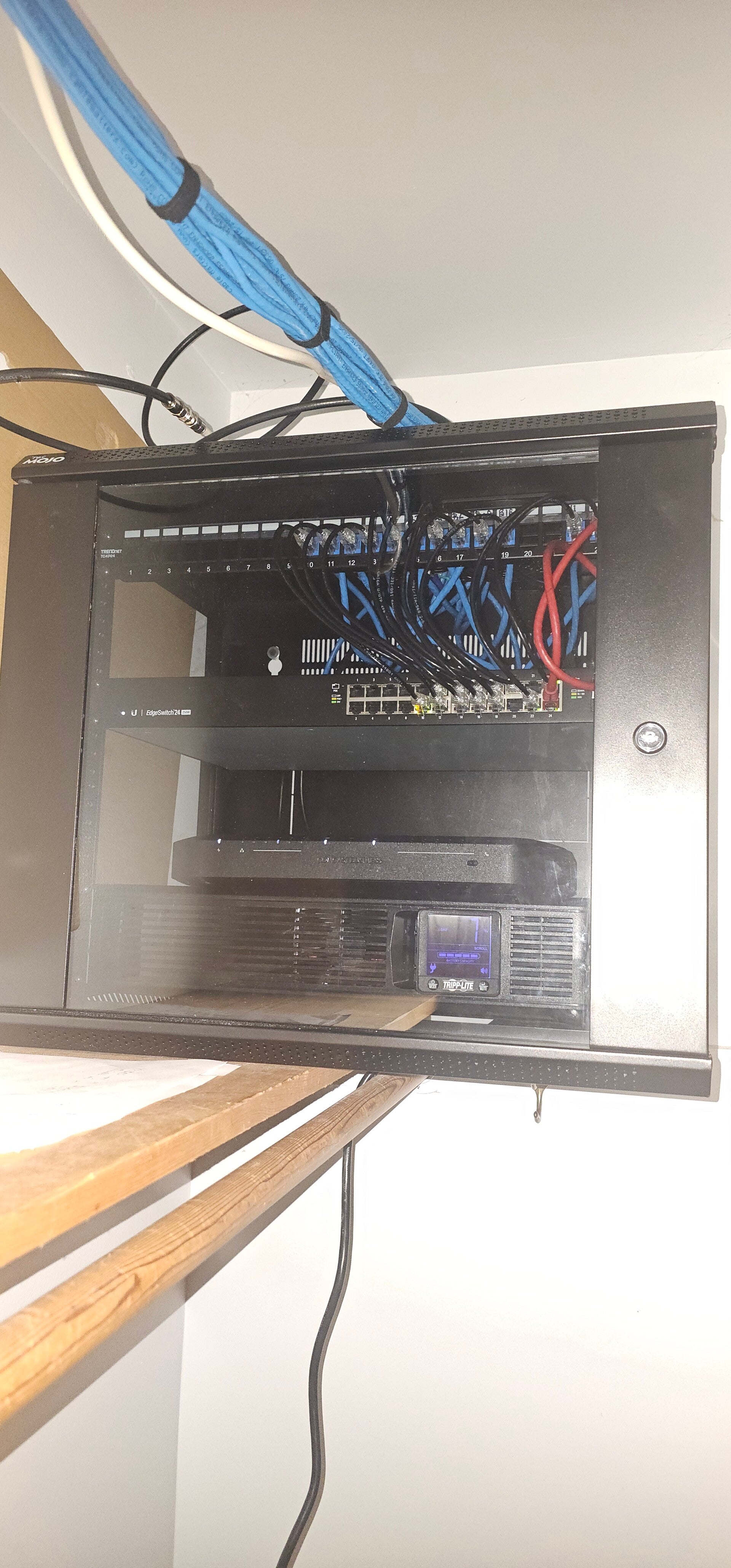 20260309_114618-standard-itorr7.jpg