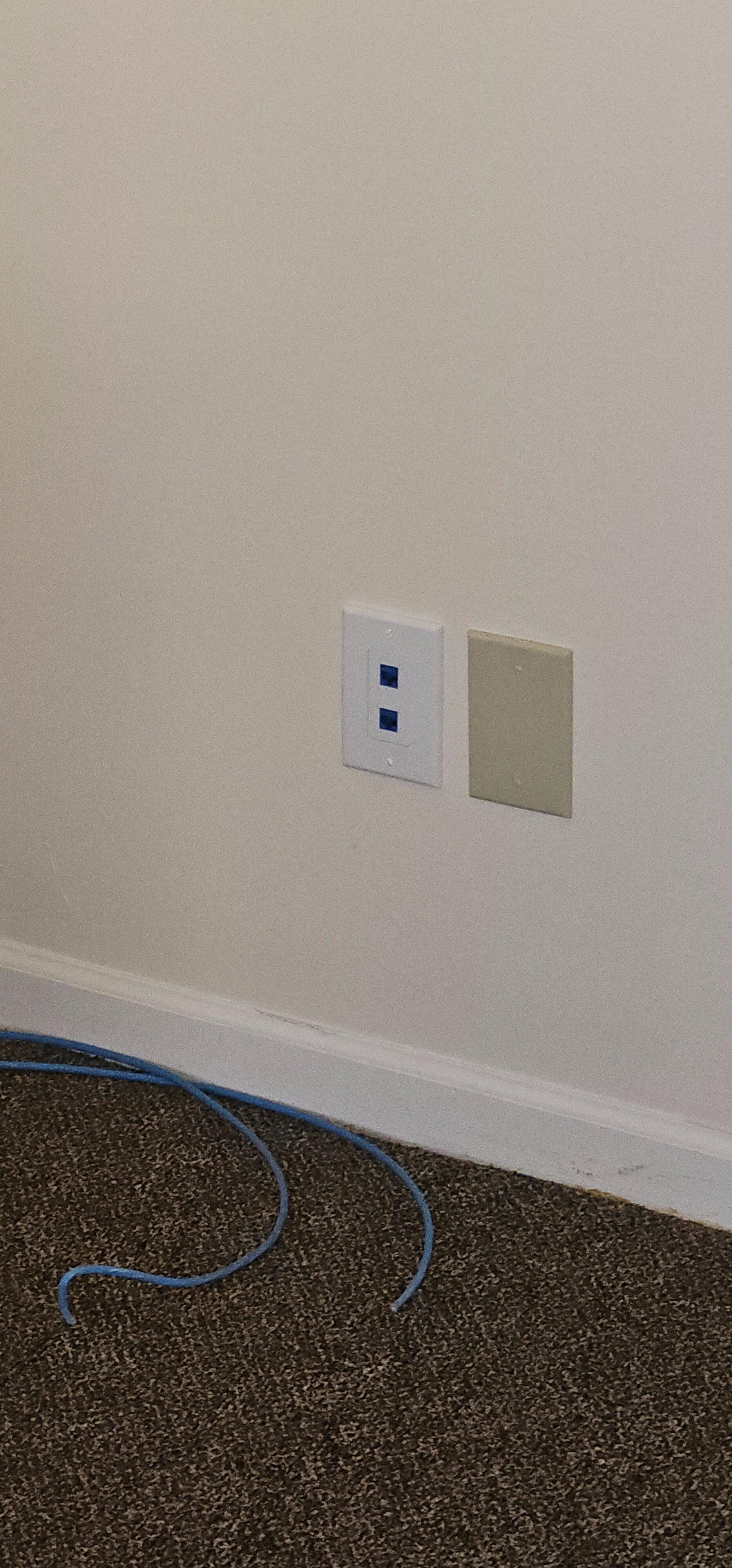 20260309_115053-standard-uxkp1w.jpg