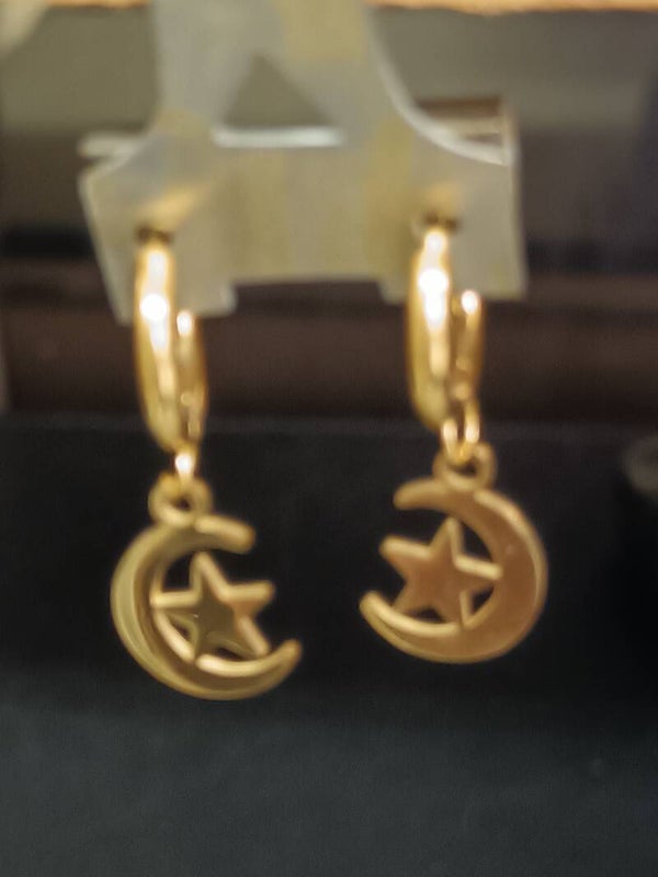 BOUCLES D'OREILLES ACIER PVD