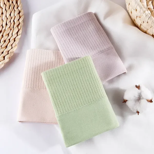 Intimo a vita alta in cotone purificato con effetto contenitivo addominale e sollevamento fianchi.