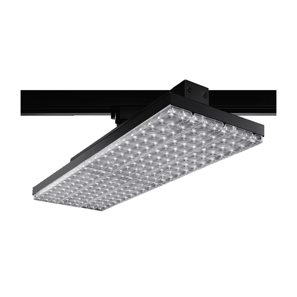 Dreamline Tracklight R G4