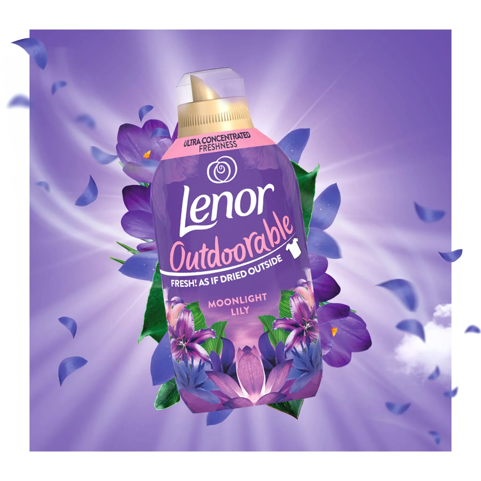 Fondant Parfumé Lenor Eclats de Minuit