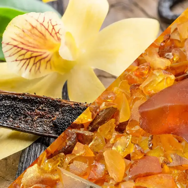 Fondant Parfumé Ambre Vanille