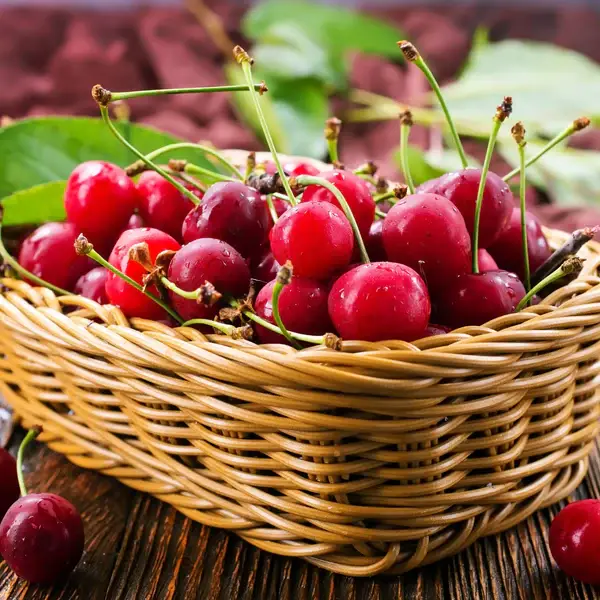 Fondant Parfumé Cerise