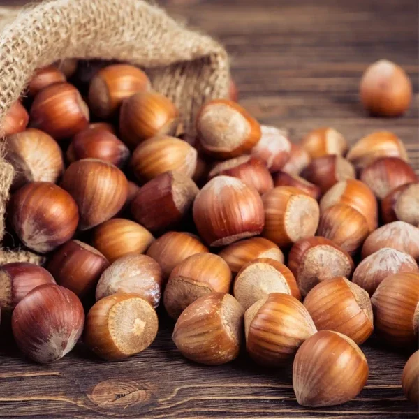 Fondant Parfumé Eclats de Noisettes