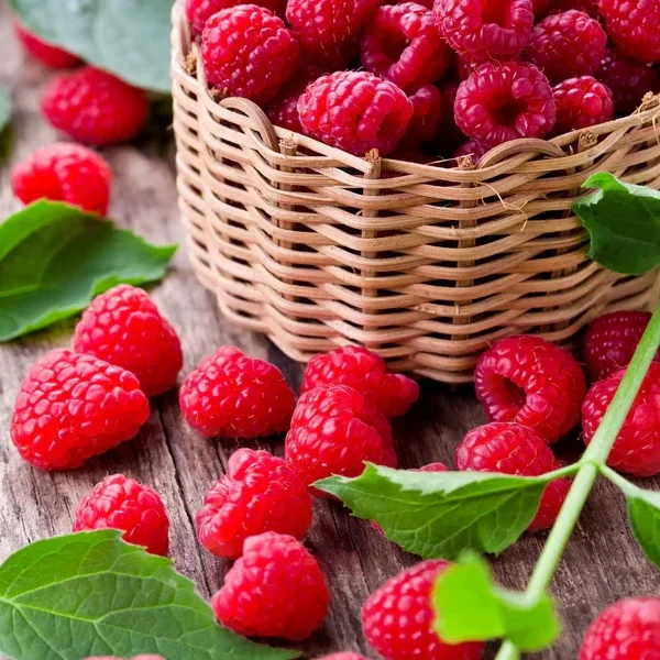 Fondant Parfumé Framboise