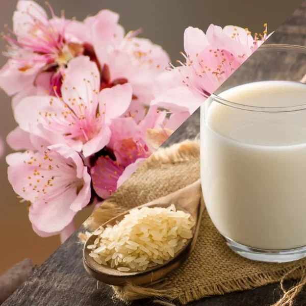 Fondant Parfumé Lait de riz cerisier