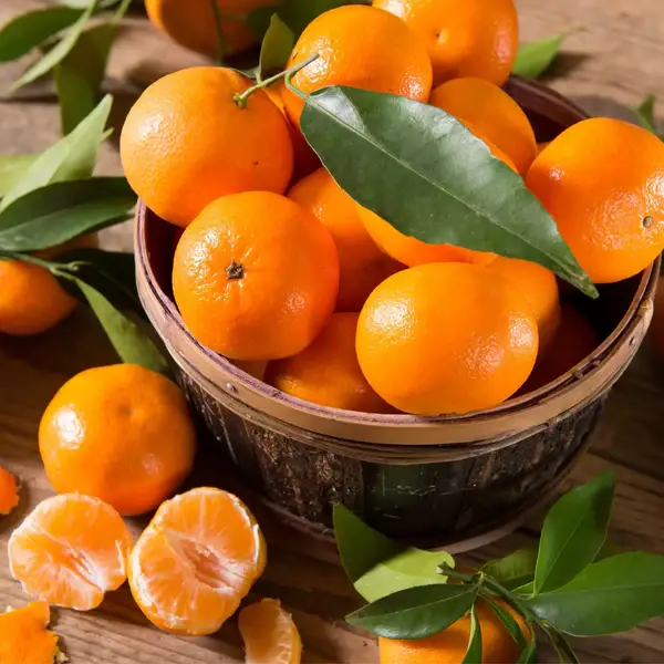 Fondant Parfumé Mandarine